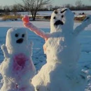 Meet your Posher, Caitie